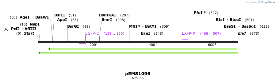 42327_map