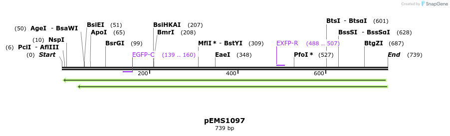 42328_map