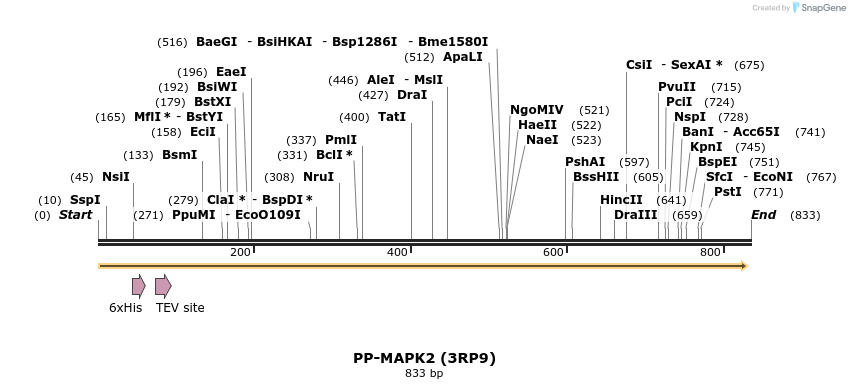 42335_map