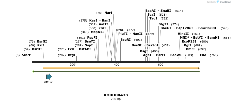 42337_map