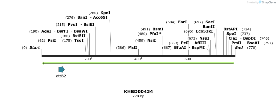 42338_map