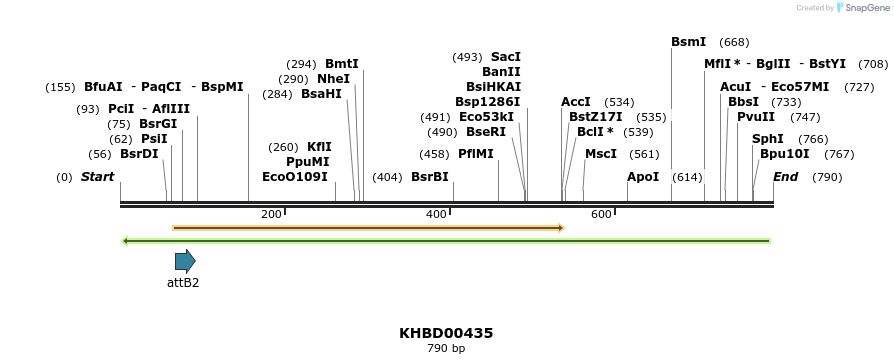 42339_map