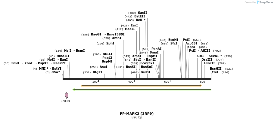 42340_map