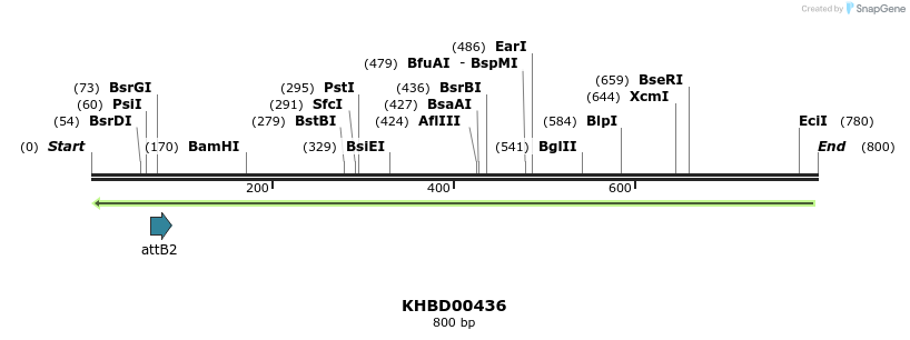 42341_map