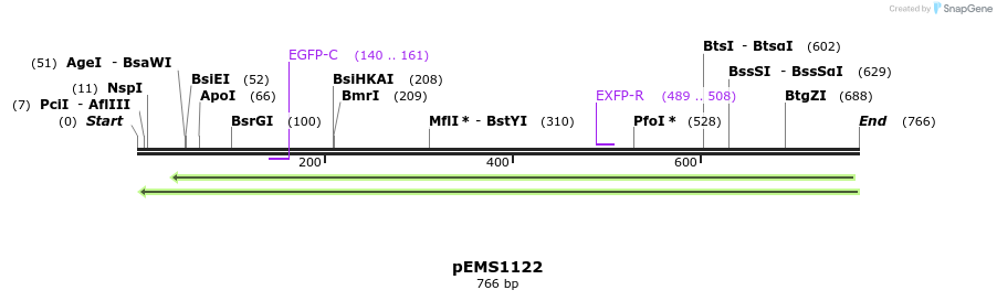 42342_map