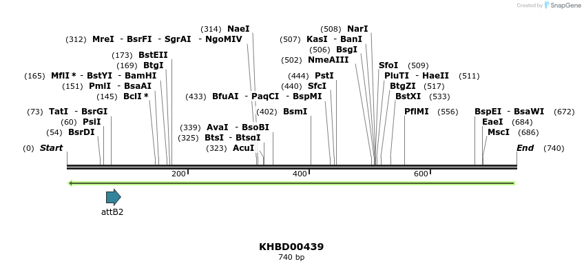 42343_map