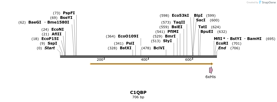42345_map