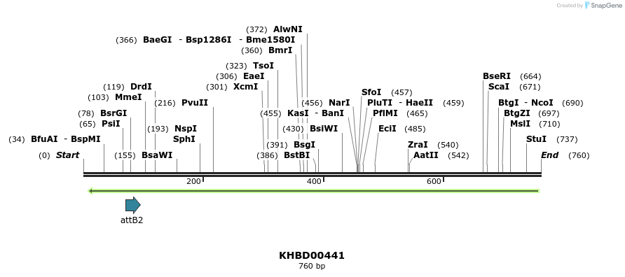 42347_map