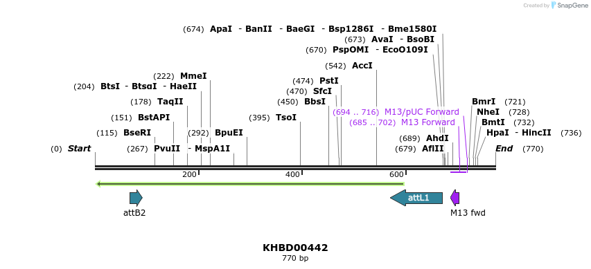 42350_map
