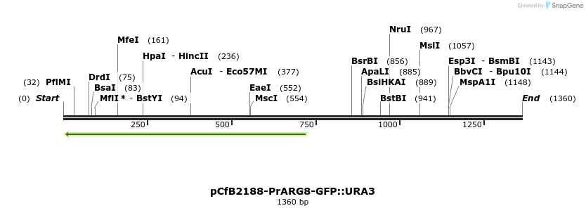 423529_map