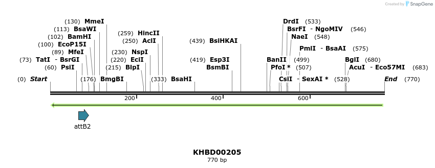 42358_map