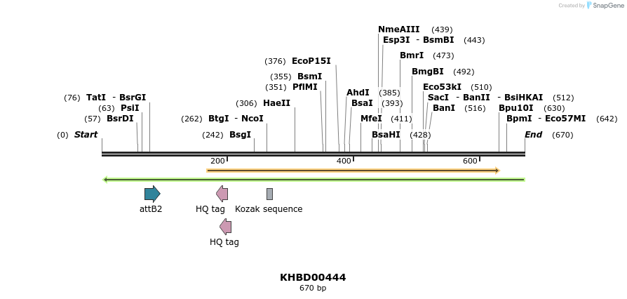 42362_map