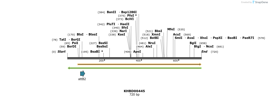 42363_map