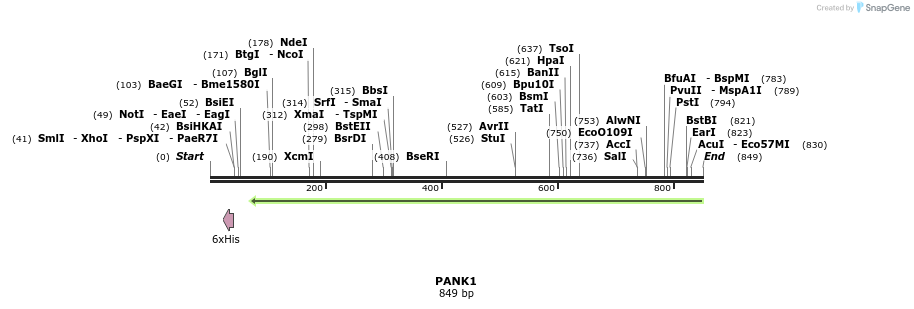 42367_map