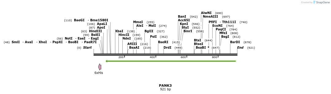 42370_map