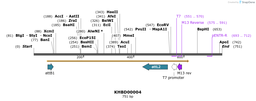 42372_map
