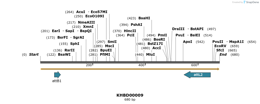 42374_map