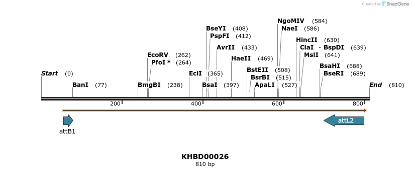 42379_map