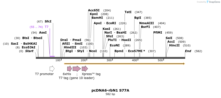 42384_map