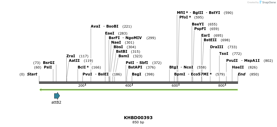 42385_map