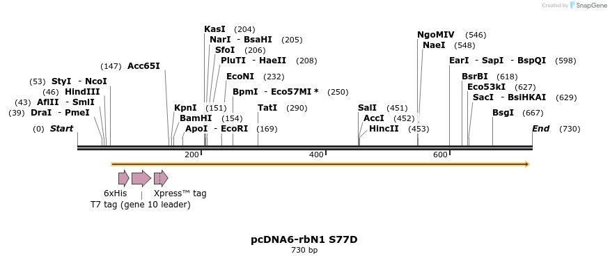 42386_map