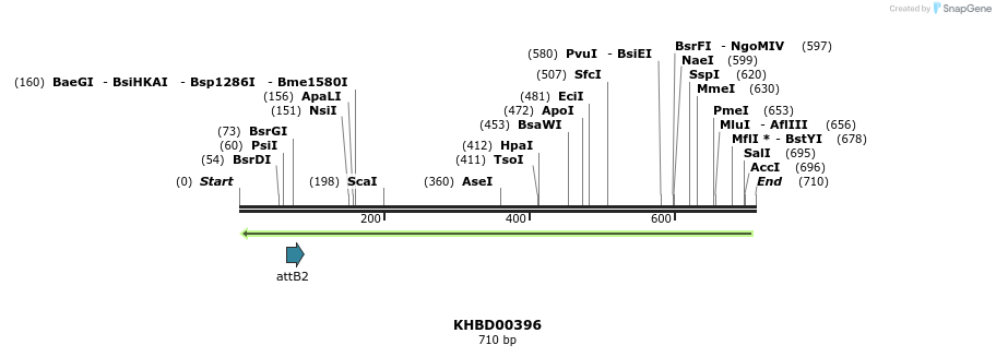 42387_map