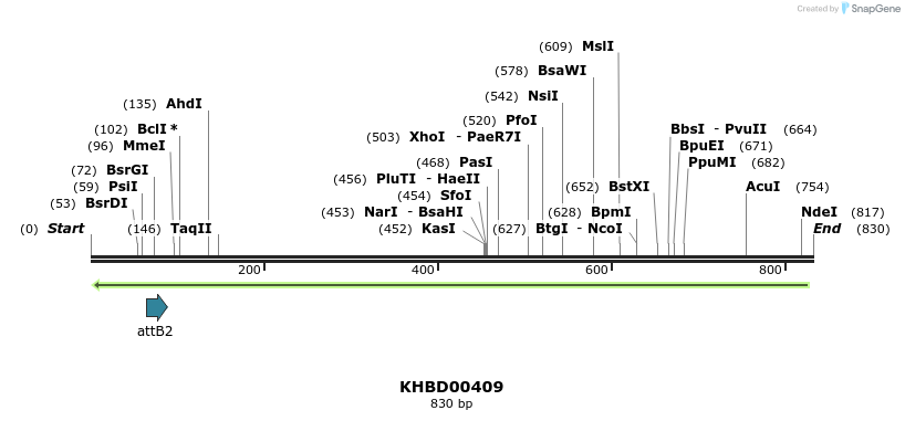 42388_map