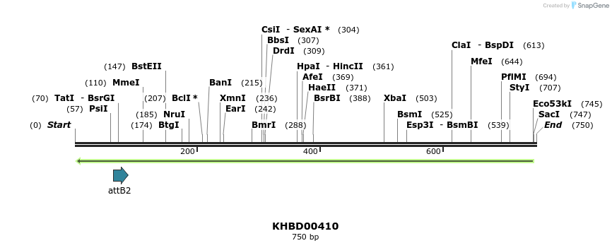 42389_map