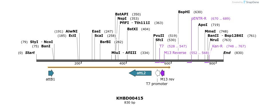 42390_map