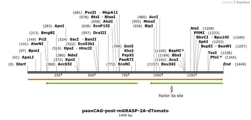 42398_map