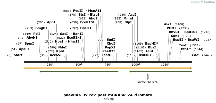 42399_map
