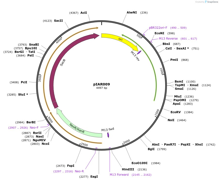 424020_map