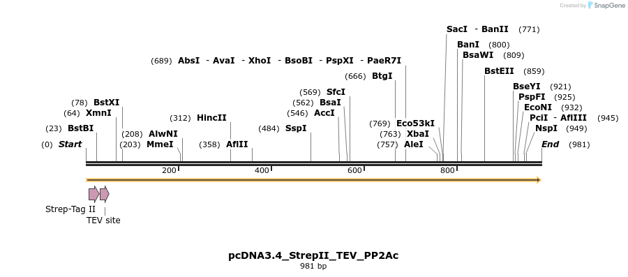 424069_map