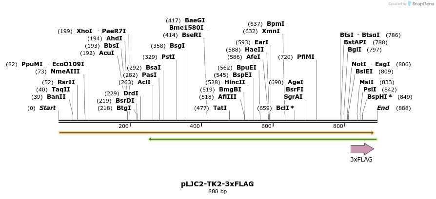 424087_map