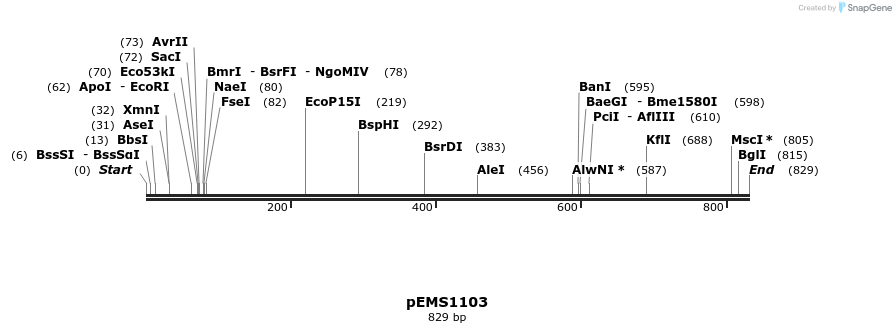 42414_map