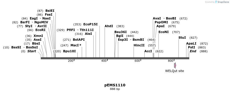 42419_map