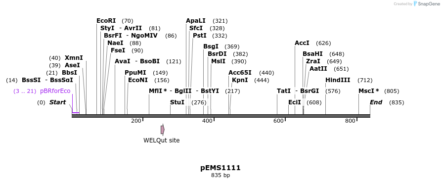 42420_map