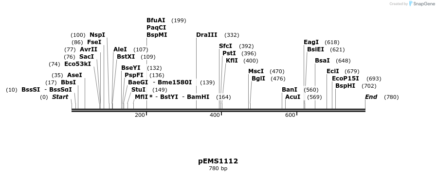 42421_map