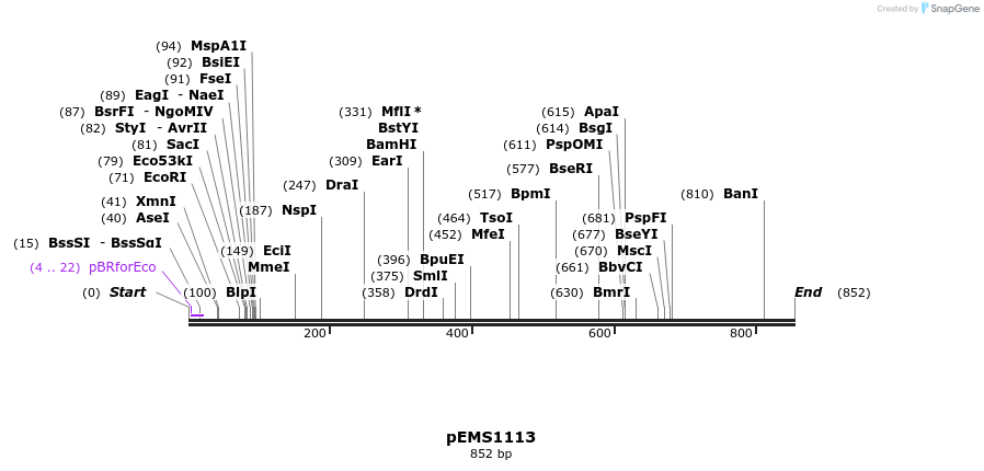 42422_map