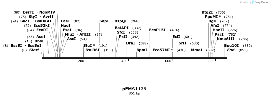 42423_map