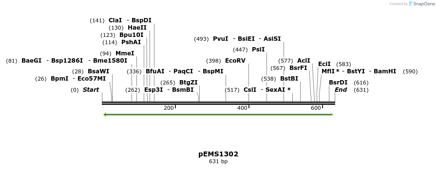 42428_map