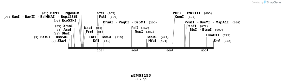 42430_map