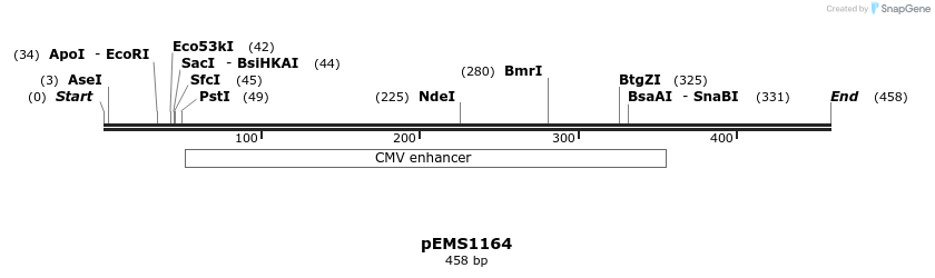42433_map
