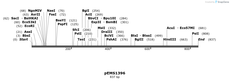 42434_map