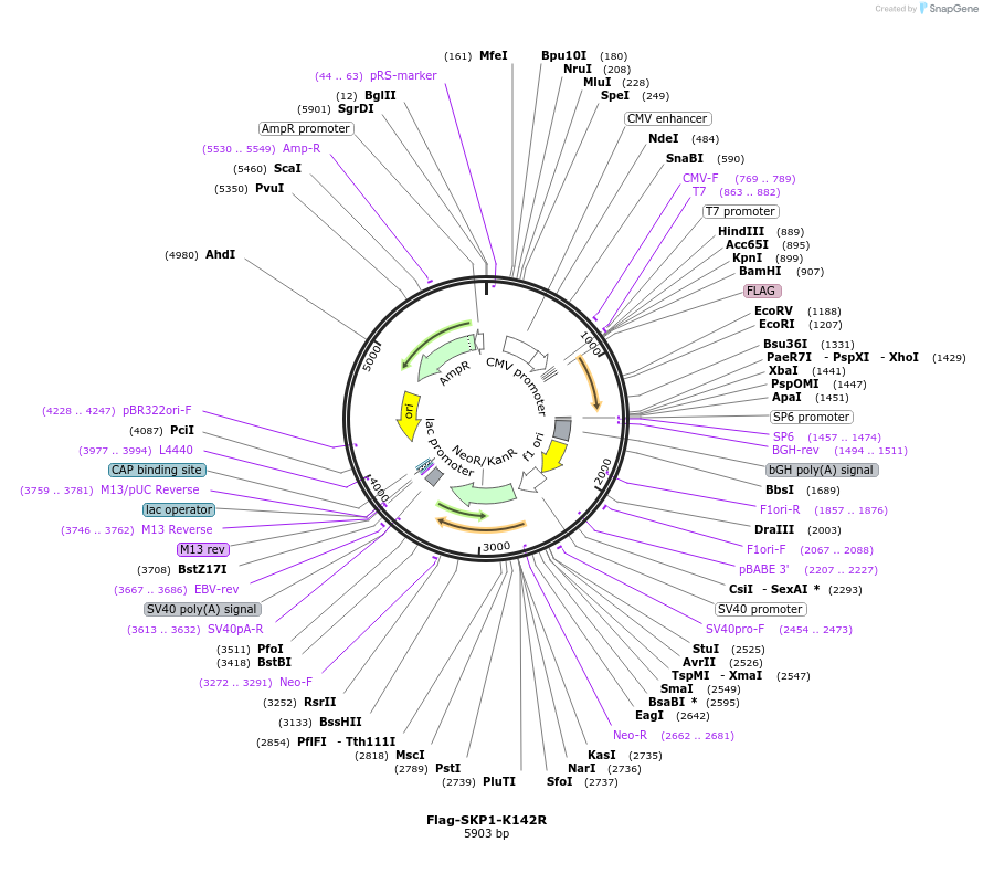 424340_map