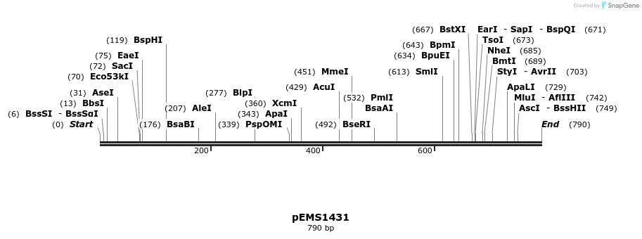 42436_map