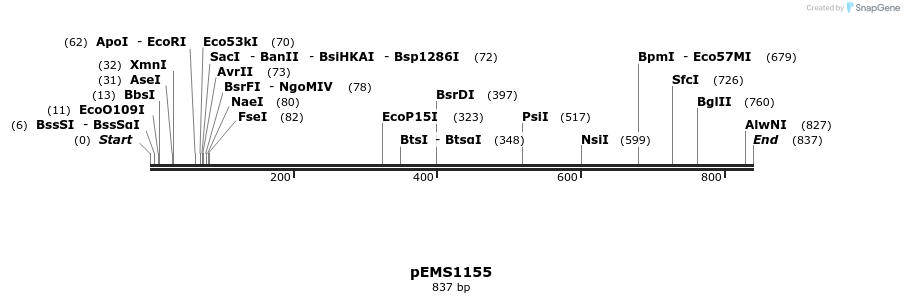42438_map