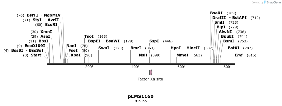 42439_map