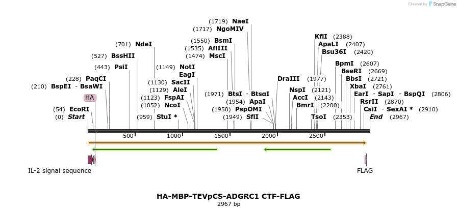 424432_map