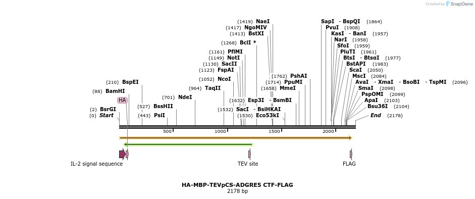 424441_map